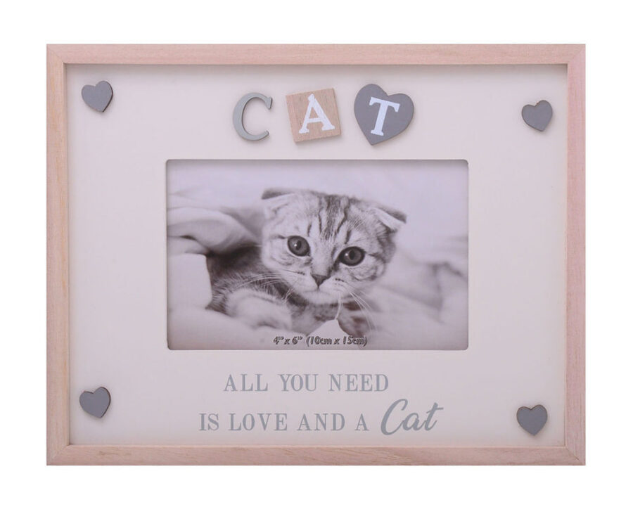 Sentiments Frame Cat 6X4